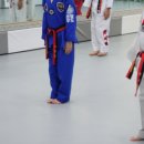 유아태권도 이미지