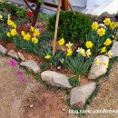 고운이네 한옥민박 이미지