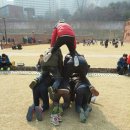 수원이레태권도