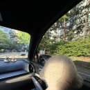 [강원도여행] DAY1 | 영랑호수윗길,속초중앙시장,라라의정원,모녀가리비,미미네집