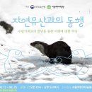 두루청과