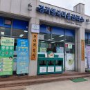 동산자원 더코리아
