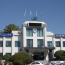 대원국제여행사