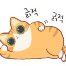 깊깊