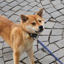 일과1교차로 2 이미지