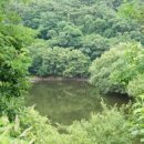 팔공산왕건길 1코스 이미지