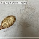 디브러쉬 이미지