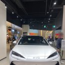 오토필드카 | 부산 강서구 남자아이랑 갈만한 곳｜스타필드시티 BYD 매장 체험 후기｜현장에서 BYD 실시간 견적 가능