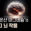 불면증, 우울증, 기억력, 인지력 트레온산 마그네슘 이미지