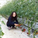 최광호농장 이미지