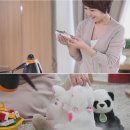 무궁화전자 이미지