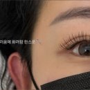 테일디뷰티