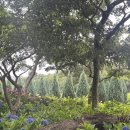 버스정류소_표선환승정류장 이미지