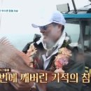 도시어부 네이버블로그