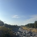 신산리 간이화장실 이미지