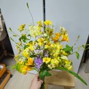 아쿠아레나 | 매주 놀기 바빴던 4월, 하지만 난 날씨요괴라네