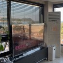 영일대 인생펜션 이미지