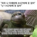 헤어민트 이미지