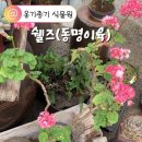 동명이육? 누구 ? 저에요^^ 쉘즈~ 이미지