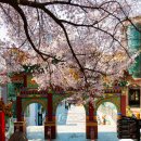 감천슈퍼 | 여자혼자국내여행 부산 포함 혼자 가기 좋은 도시 BEST 7 추천, 숙소 추천 할인 링크