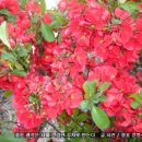 좋은생각 이미지