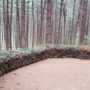 들꽃스테이 이미지