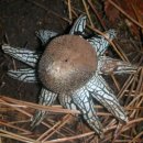 달우물농장 이미지