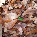 충주호반 이미지