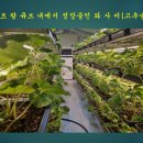 삼단지농장 이미지