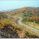 샘재로 4 Daum카페