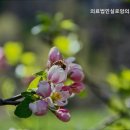 실로암의료재단 이미지