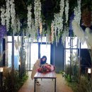 관광단지로(성곡동) | 거북섬 맛집탐방_LA코코보일링 거북섬 본점