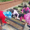 와포햇살 영농조합법인 | [2025년 겨울호] 마을에서 희망 찾기 / 신경남