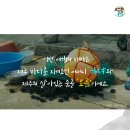 세화여행사 - 금정구 금정로 143-2 | 세화여행사