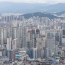 용과서울