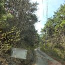 원당리 마을회관(경로당) | 4월 함양오르고 도숭산 최단코스_대황령 진달래 꽃길이 이어지는 곳