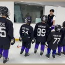 부동산손길공인중개사사무소 이미지