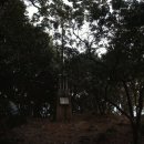 1980민박 | 거제 장승포항에서 유람선타고 <지심도> 여행