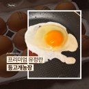 제2영진농장 | 등고개농장 프리미엄 유정란 내돈내산 후기