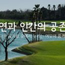 테디밸리CC 이미지