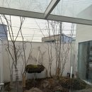 펫포레스트 | 반려묘 장례후기 펫포레스트 김포