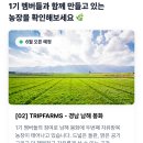케이지건설(주) | 🥚 [트립팜스 솔직 후기] 비싼 난각번호 1번 계란, 실질 비용'0원'에 정기배송으로 누리는 방법