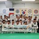 국가대표 S 태권도 이미지