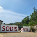 소디스커피 이미지