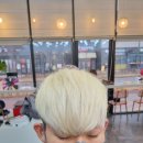 월천Salon