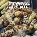 노화전통시장 | 청량리 경동시장 먹거리 옥수수 맛집 협신유통 가격 종류 후기