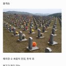 제66강 안세현 시인의＜불계승＞ 이미지