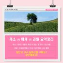채소밭과일나무