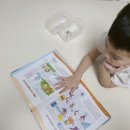 우당탕, 꼬마 과학자의 실험실 | 엄마표 과학놀이 꼬마과학뒤집기 어린이과학실험 보고서
