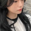 콘크리트헤어 네이버블로그